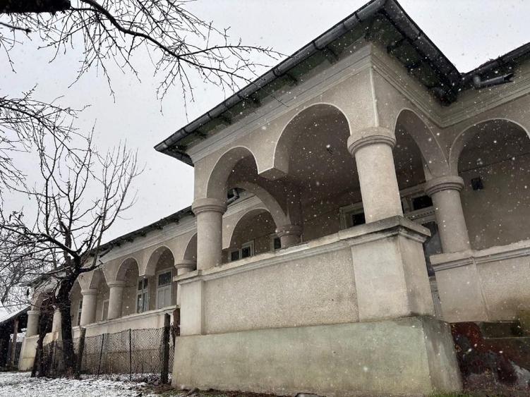 Vand gospodarie taraneasca traditionala - 16