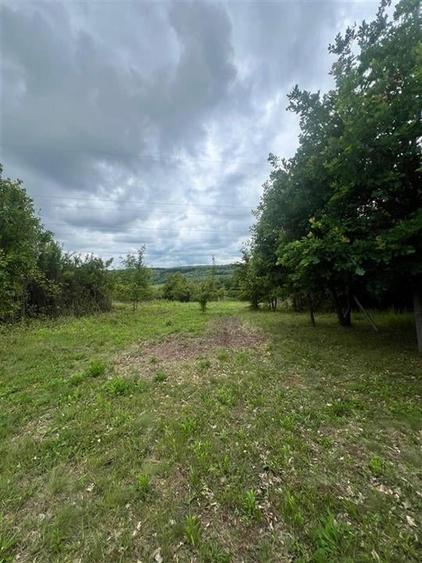 RECO teren de vanzare in zona Betfia - 6