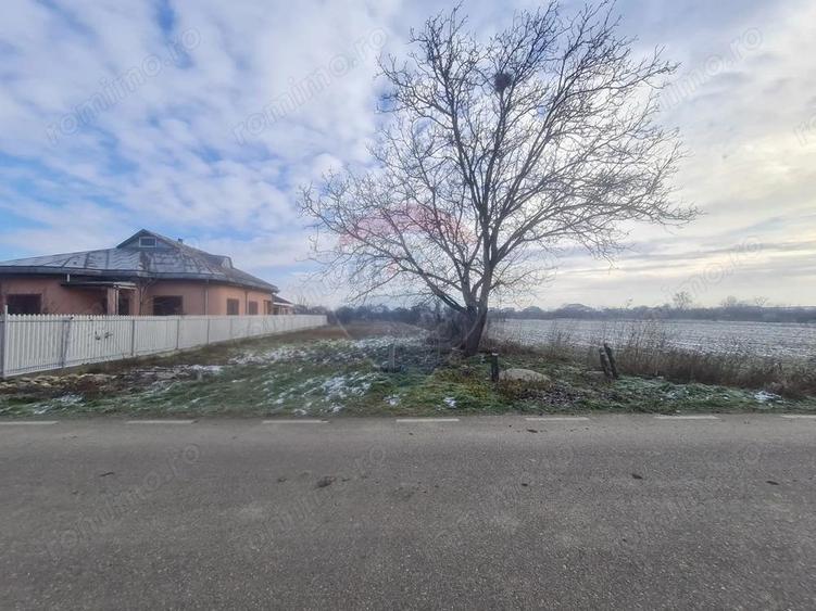 Teren intravilan 1,564mp in Gologanu - 3