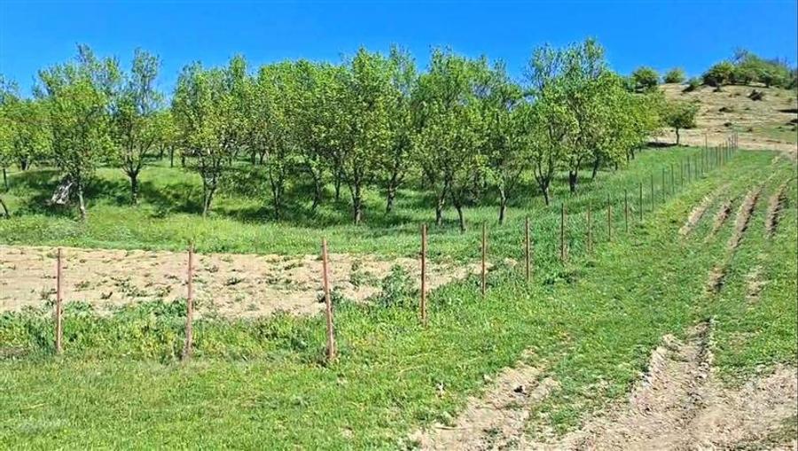 Teren Parcela 1900 mp intravilan Iclozel Iclod - 2