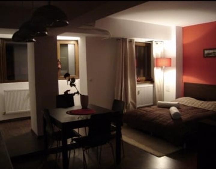 Studio, 47 mp, spațios, renovat, zona Lacul Tei - 3