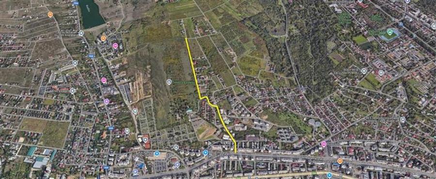 Teren Intravilan Pacurari Viticultori - 2