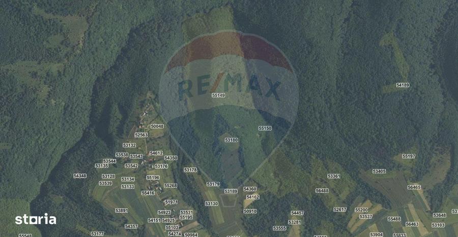 Padure 34 ha Capusu Mare - 2