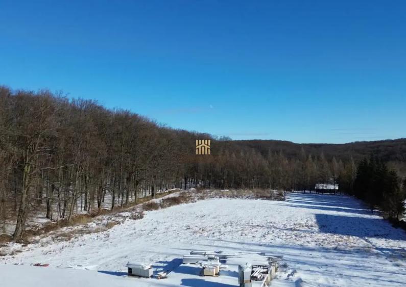 Teren Intravilan langa Padure 10.000 mp 1 hectar Suceava - 9