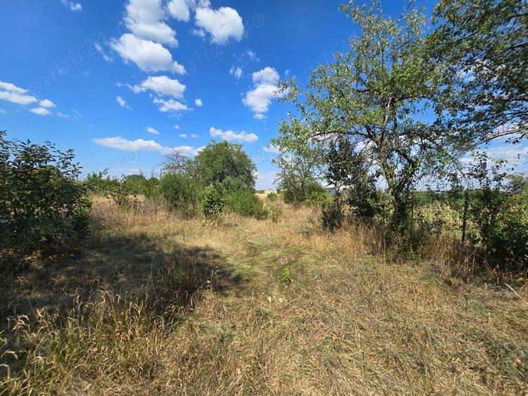 Vila P+1 Zona Savinesti - 5