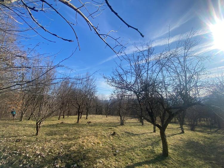 Teren de vanzare 1.622 mp Cornu de sus - 2