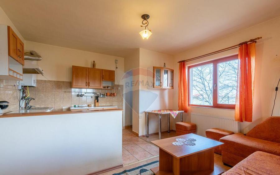 Casa de vanzare Jucu de Mijloc, Zona Panemar Teren intrav... - 13