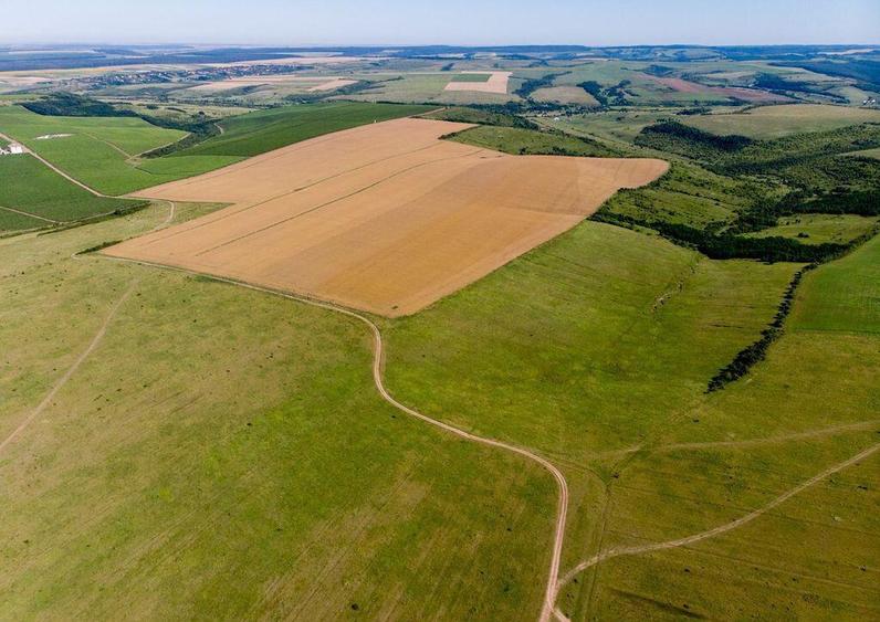 Teren arabil de 147 hectare in Giurgiu - 3