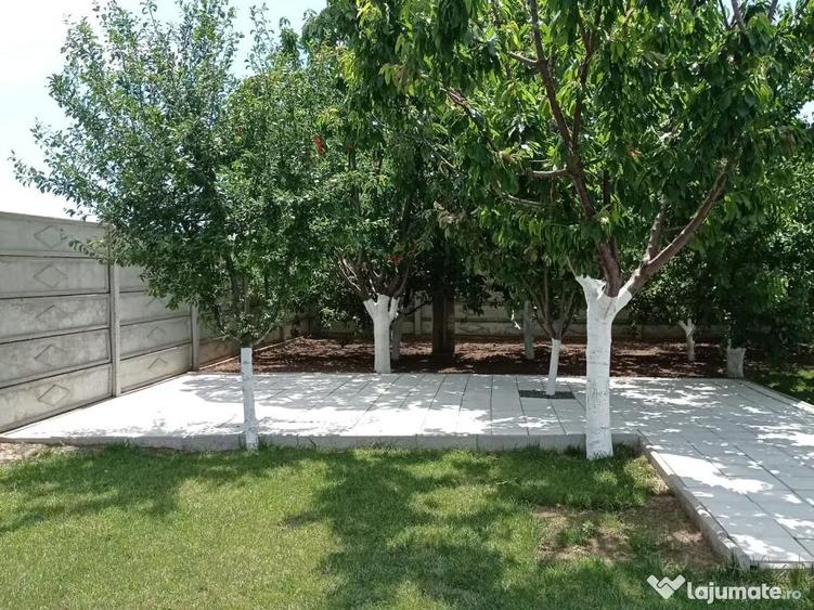 Vand casa in Corbu, jud. Constanta - 9