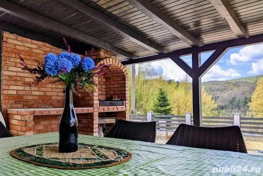 Casa de vacanta la munte - 4