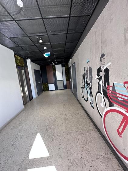 Spatiu de birouri Etaj 1 - 6