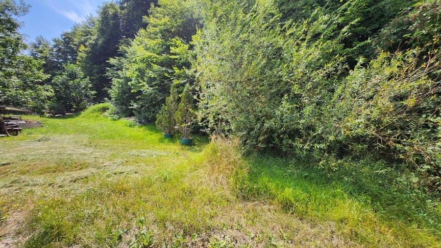 Teren intravilan, 1195mp, utilitati, la liziera padurii, parau, Faget - 1