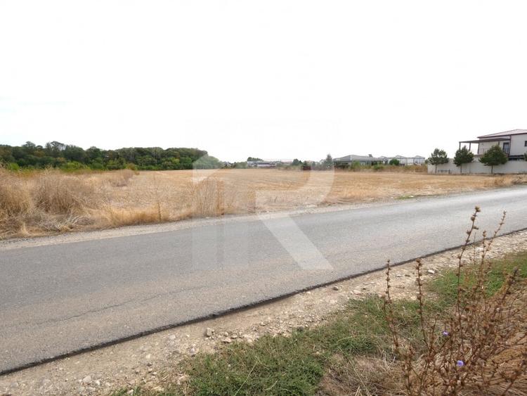 LOTURI PENTRU CASA - 420mp + 89mp drum - Otopeni, Ilfov - IN CURS DE AUTORIZARE - 4