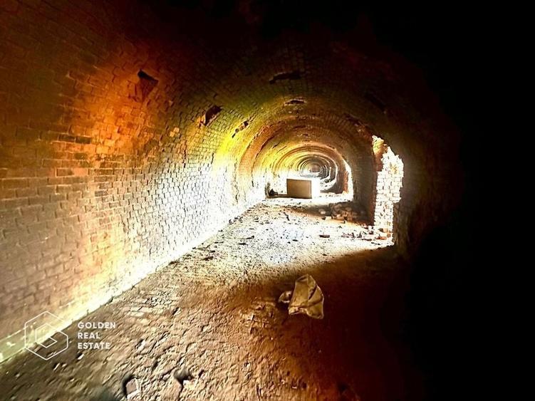 Teren intravilan 71.000mp, Barsa, Renumita Fabrica de caramida si casa 4 camere - 4