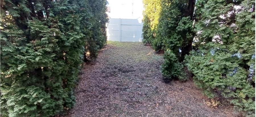 Apartament 4 camere cu curte proprie,la casa - 30