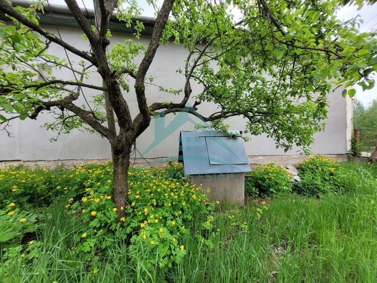 Exclusivitate! De vanzare casa cu 3 camere si teren de 1500mp, la Vlaha! - 9