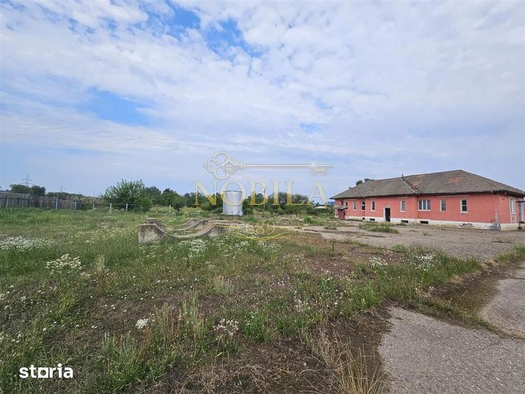 Teren de 10000 mp, în Ștefan cel Mare