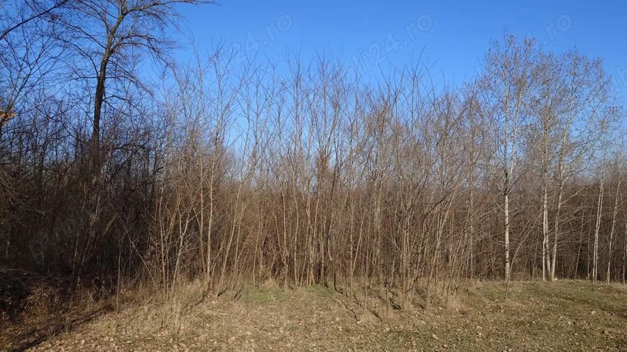 Teren de 2800 mp, în Gura Vitioarei