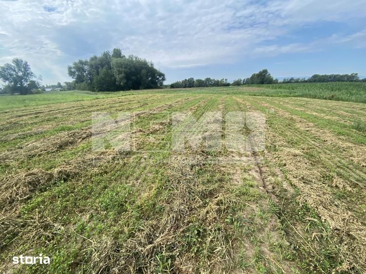 Teren de 2300 mp, în Satu Mare