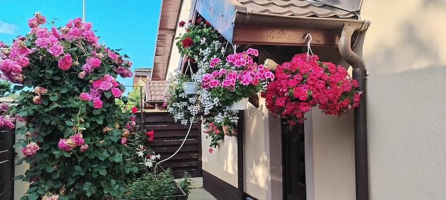 Casă cu Teren 500 Mp în Vidra