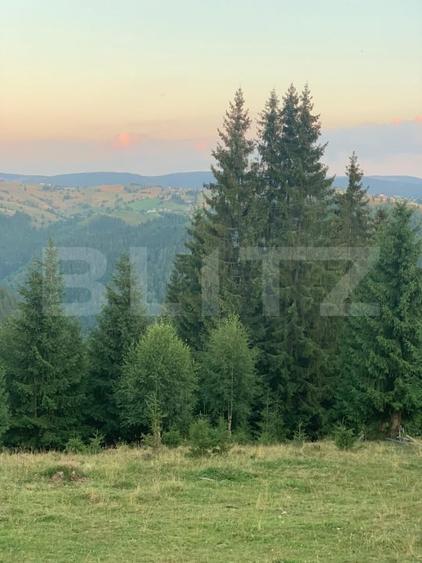 Teren intravilan, front la strada, 3321mp, utilitati, Marisel - 5