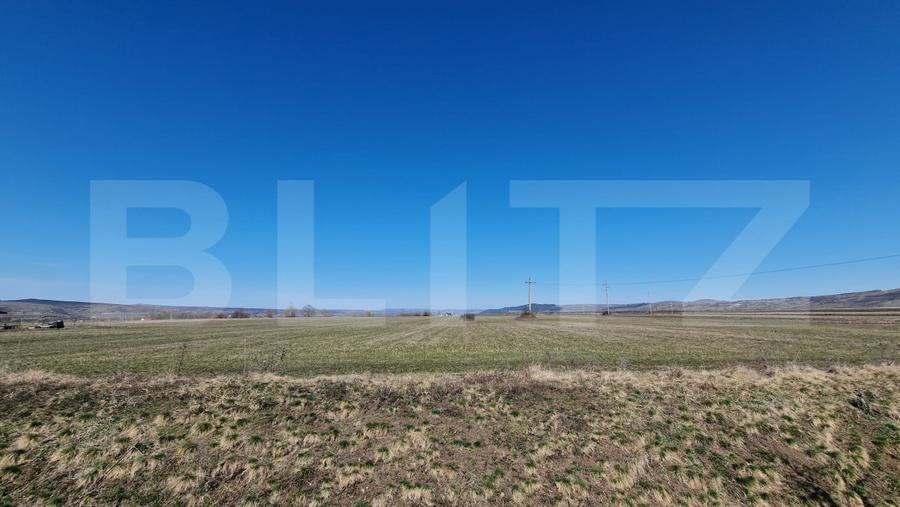 Teren Construcții intravilan de 29000 mp, în Jucu de Sus