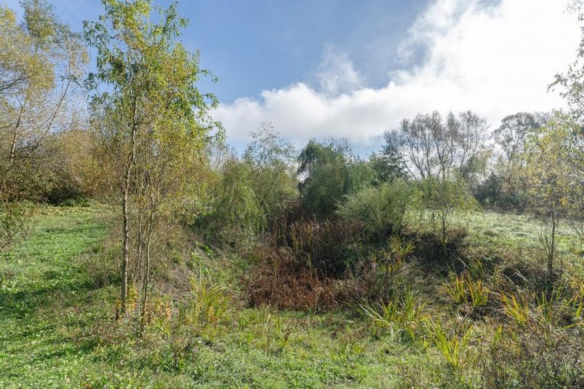 Proprietate rara in Covasna - liniste, spatiu si potential de investitie - 48