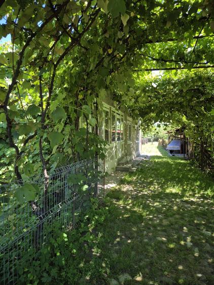 Casa batraneasca, la tara, 3646 mp, Jud. Valcea - 8
