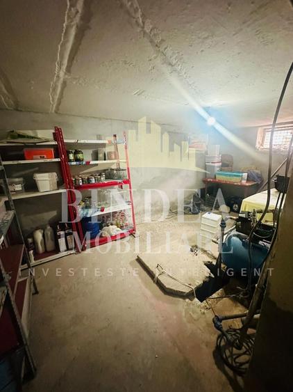 Casa pe principala in Giarmata  737mp teren - 14