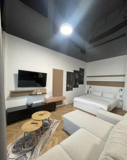 Apartament cu o camera, 36 mp, zona centrala - 11