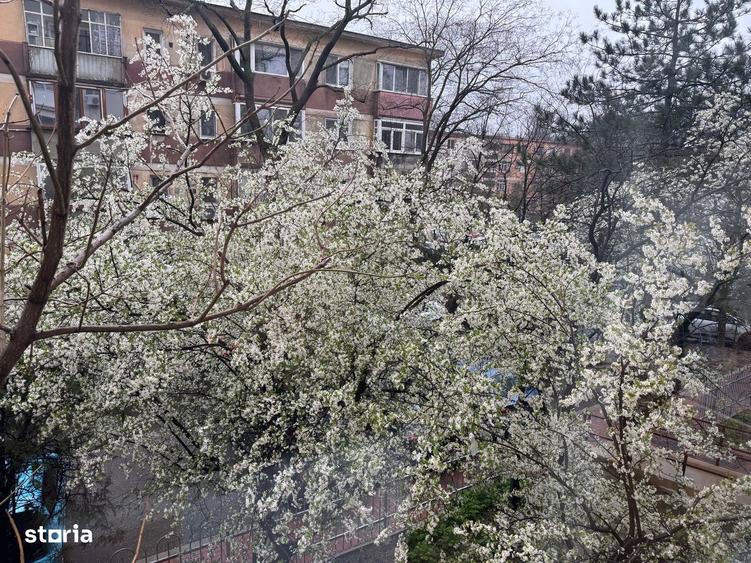Muncii Ion Tuculescu apartament cu 2 camere de inchiriat - 4