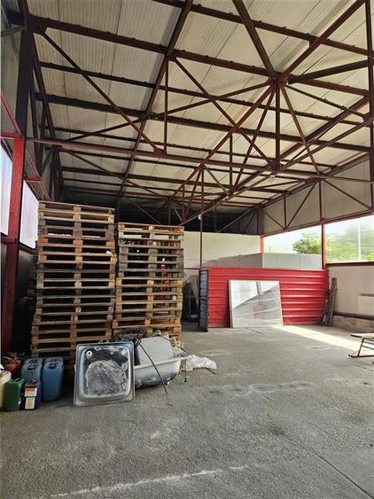 Proprietate Industriala - Productie - Industrie Alimentara - 37