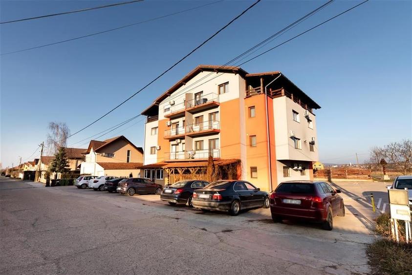 RECO APARTAMENT CU O CAMERA IN PALEU - 9