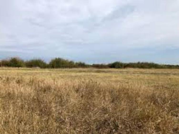 3,2 ha teren agricol la Murgasi judetul Dolj - 1