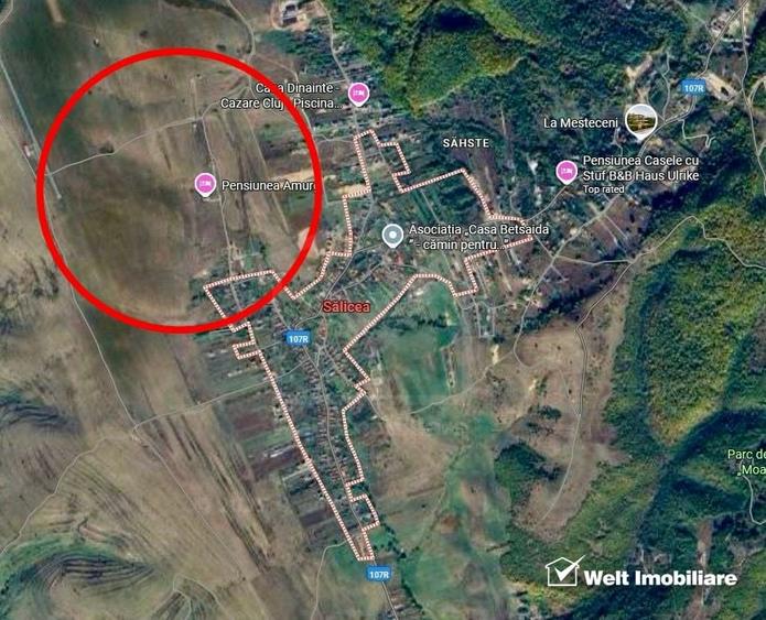 Teren 2000 mp/extravilan, Salicea - 1