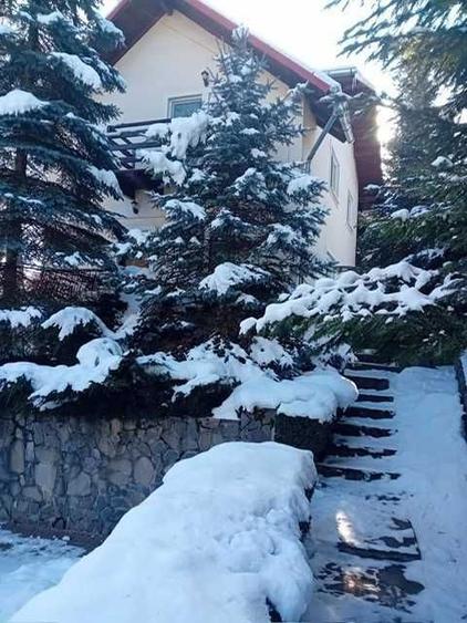 Vanzare Casa cu brazi, Breaza, vizavi de Lac de Verde - 1