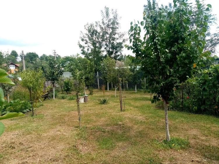 Casa 3 camere constructie 2017 - 6