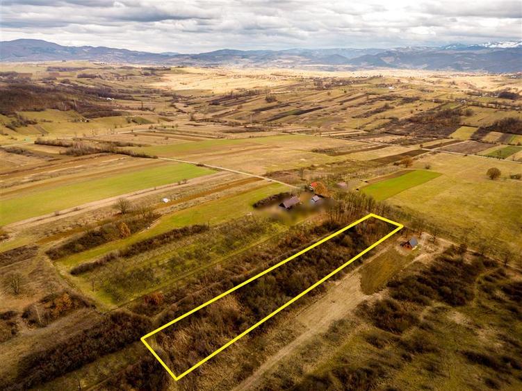 RECO Teren intravilan  Zona Vadu Crisului Bihor - 3