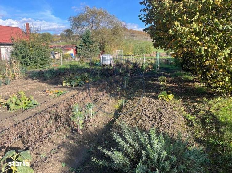 Casa spatioasa + teren intravilan-Sigmir-275 mp utili-teren 3300mp - 3