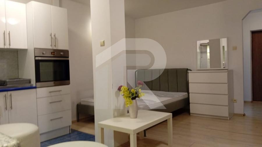 Garsoniera Titulescu - Banu Manta - 9