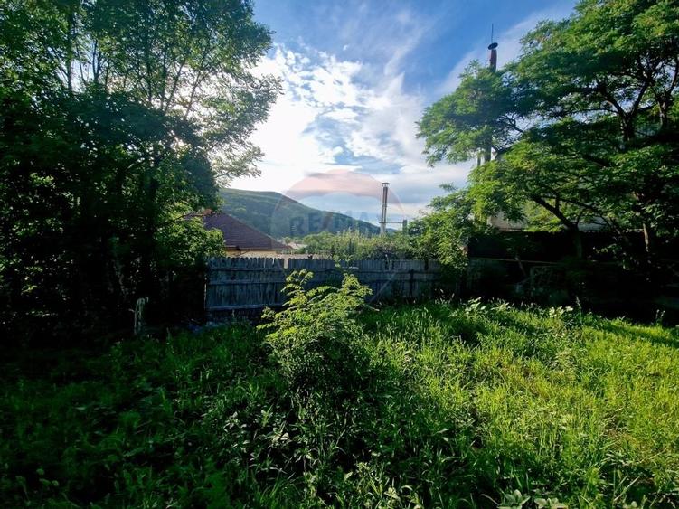 Teren 1,749mp Piatra-Neamt / Strada Zambilelor - 16