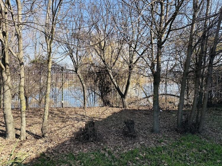 Domeniu splendid 2500 mp teren pe malul lacului Morii, vila 300 mp, Rosu-Chiajna - 10