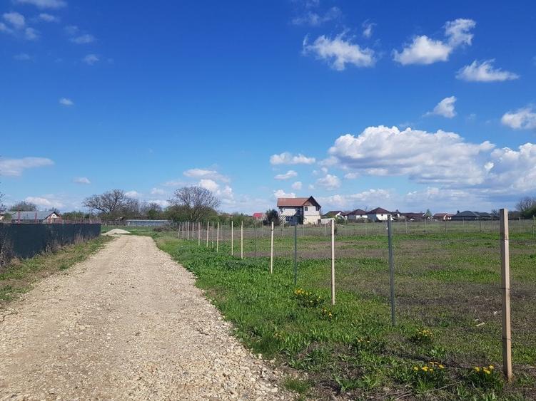 Loturi de teren parcelat, Sabareni, intravilan, 620-650 mp - 9