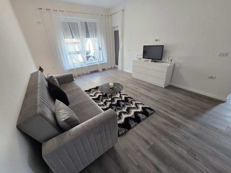 Prima inchiriere. Curte proprie. La asfalt. - 1