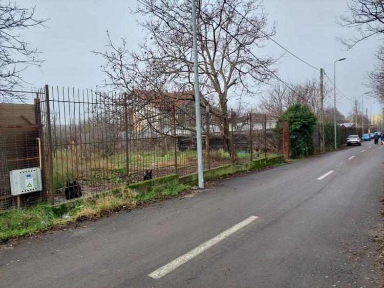 TEREN 1174 MP  |  KAMSAS  |  CONSTANTA - 1