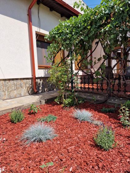 Dacia -  Eminescu - Vasile Lascar - vila cu  4 camere - renovata 2025 - gradina - 8