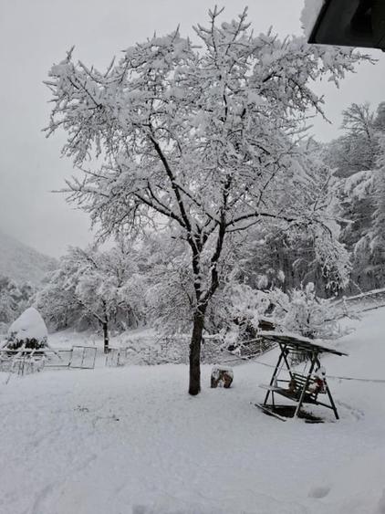 Casa, teren si padure de vanzare-40.000 mp, direct proprietar in Apuseni. - 8