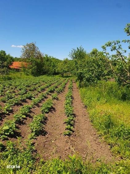 Casă cu 3 camere cu Teren 120 Mp în Agrij