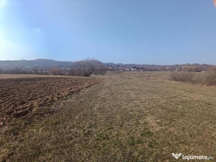 Remetea Chioarului, 29 ari teren - 1