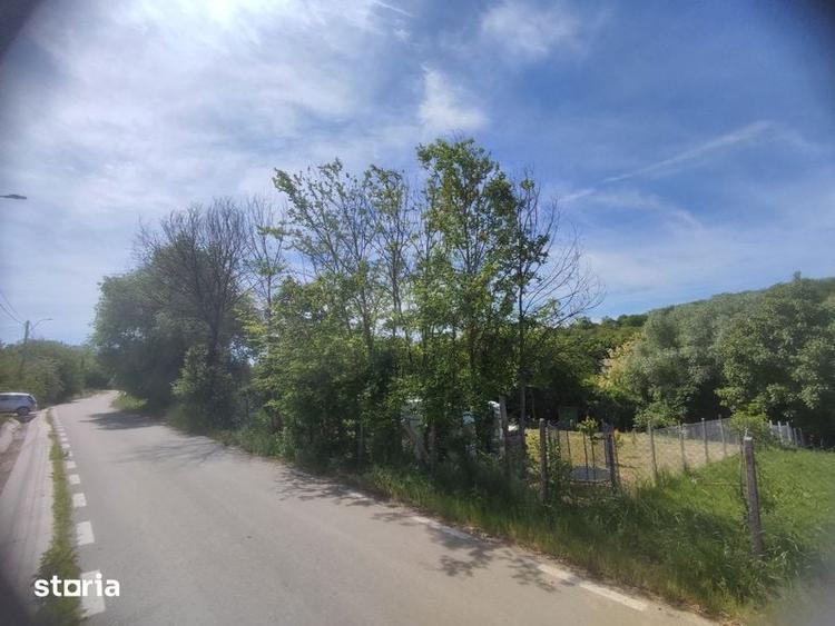 Teren cu parau - Giurgiu / Daia / Plopsoru - 3